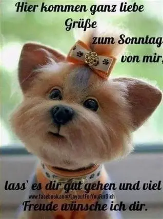 Condolence image of Sonntags❤️Rosen❤️❤️❤️❤️❤️❤️