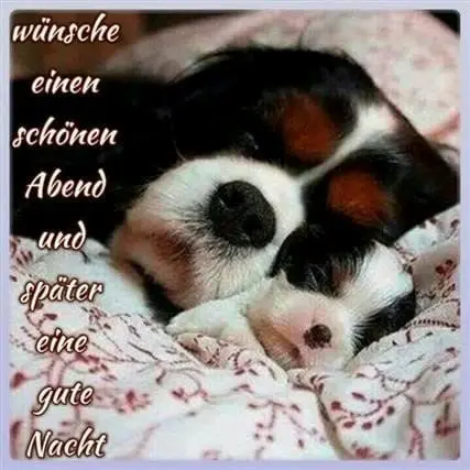 Condolence image of Dobrej Nocki❤️❤️❤️Misieńku❤️