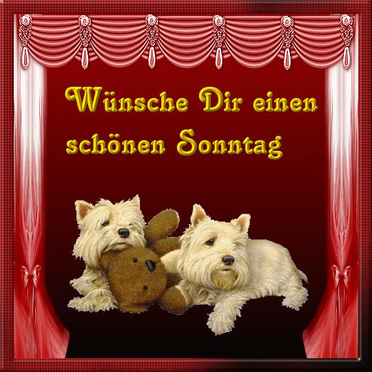 Condolence image of Niedzielne❤️Róże❤️❤️❤️❤️❤️❤️❤️i