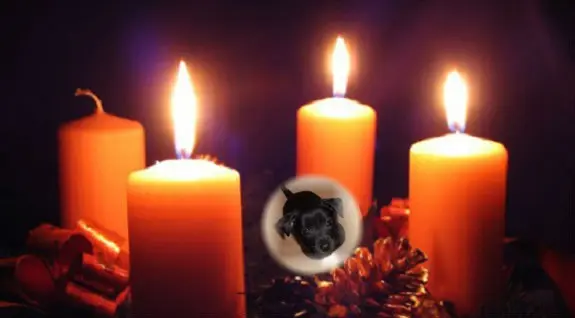 Condolence image of 3. Advent❤❤❤
