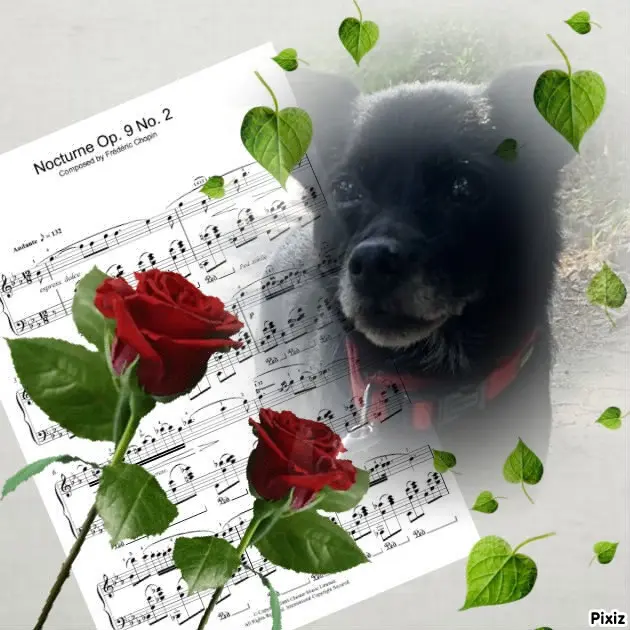 Condolence image of Dzień Dobry❤️❤️❤️Misiu❤️