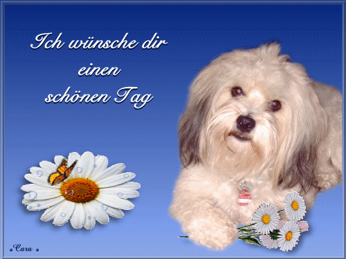 Condolence image of Niedzielne❤️Róże❤️❤️❤️❤️❤️❤️❤️