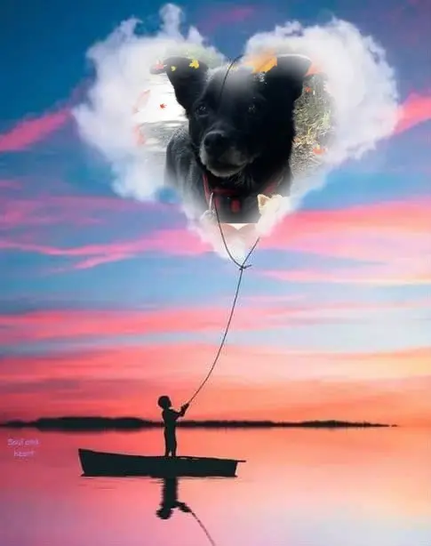 Condolence image of Niedzielne❤️Różyczki❤️❤️❤️dla Misia❤️