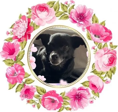 Condolence image of Dzień Dobry❤️❤️❤️Misiu❤️