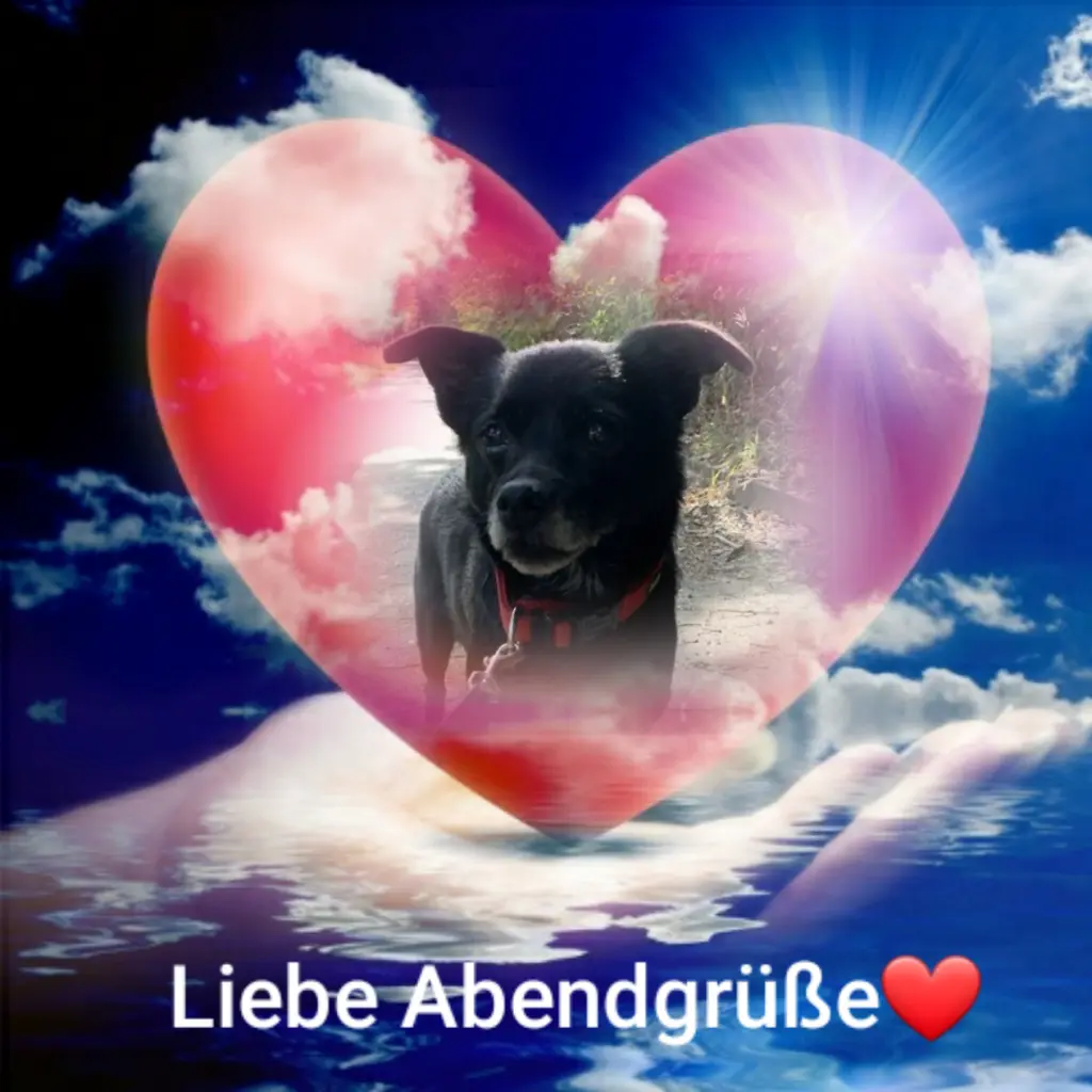 Condolence image of ❤⭐Dobranoc Misiu❤ ⭐