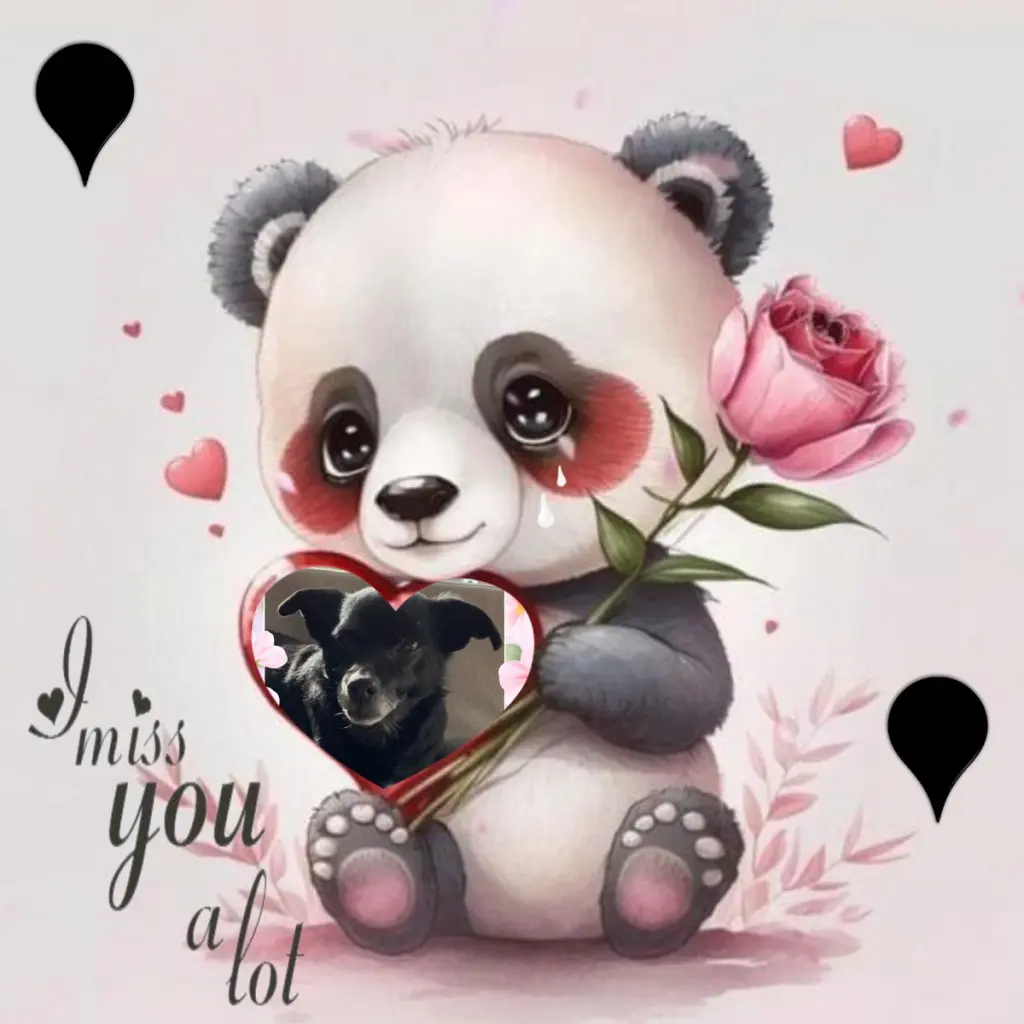 Condolence image of Niedzielne❤️Róże❤️❤️❤️❤️❤️❤️❤️