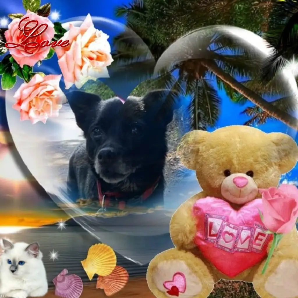 Condolence image of Dzień Dobry Misieńku❤️❤️❤️⭐️
