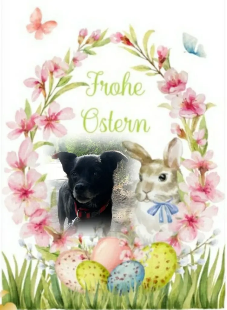 Condolence image of Ewa & Krzysztof mit Jacki tief im Herzen ❤