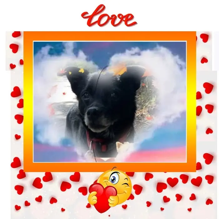 Condolence image of Niedzielne❤️Różyczki❤️❤️❤️dla Misia❤️