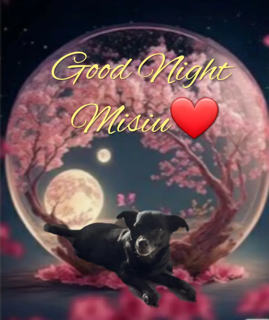 Condolence image of Ewa & Krzysztof mit Jacki tief im Herzen ❤