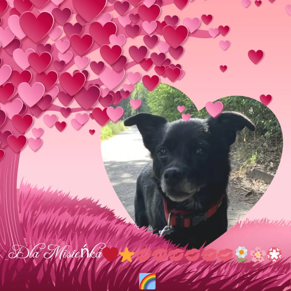 Condolence image of Niedzielne❤️Różyczki❤️❤️❤️dla Misia❤️
