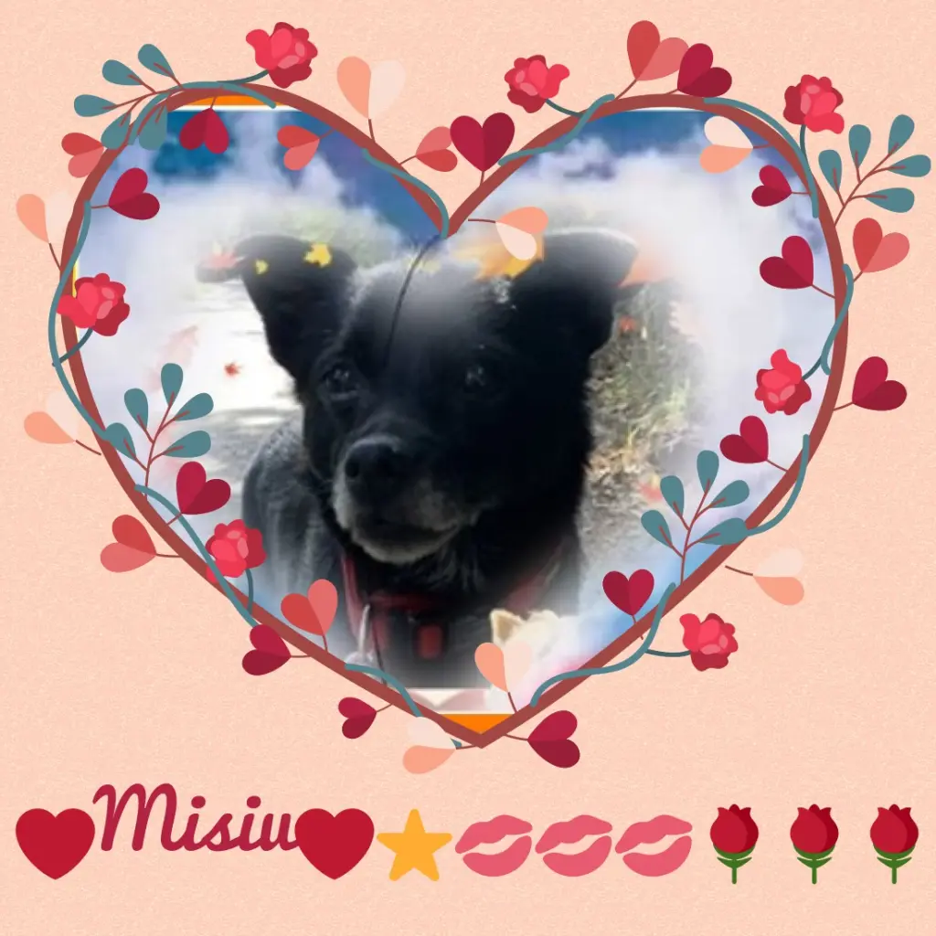 Condolence image of Dzień Dobry❤️❤️❤️Misiu❤️