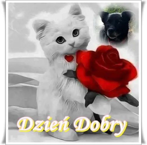 Condolence image of Niedzielne❤️Róże❤️❤️❤️❤️❤️❤️❤️