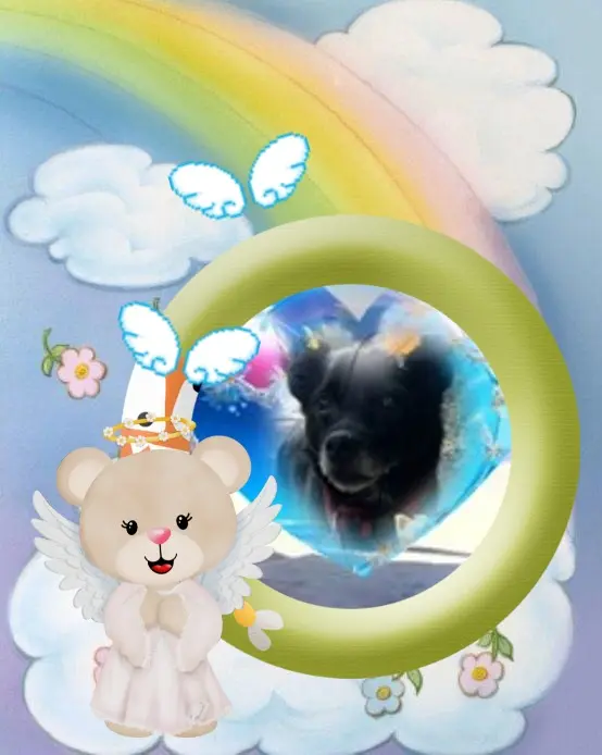 Condolence image of Niedzielne❤️Różyczki❤️❤️❤️dla Misia❤️