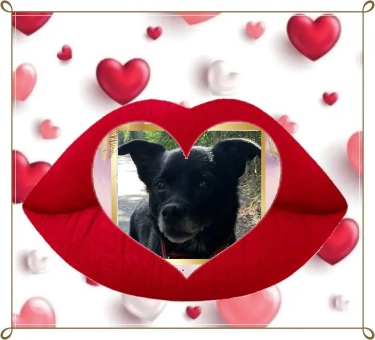 Condolence image of Niedzielne❤️Różyczki❤️❤️❤️dla Misia❤️
