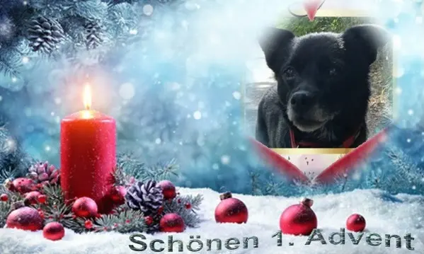 Condolence image of Niedzielne❤️Róże❤️❤️❤️❤️❤️❤️❤️