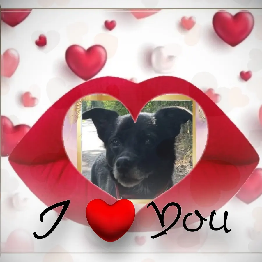 Condolence image of Niedzielne❤️Różyczki❤️❤️❤️dla Misia❤️⭐️