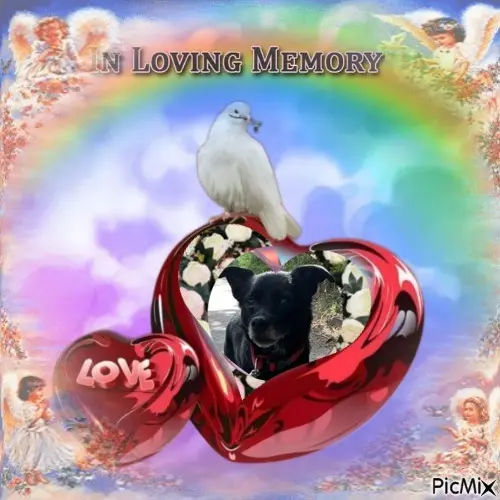 Condolence image of 3.Lata....Bez Ciebie❤️⭐️Misieńku❤️⭐️