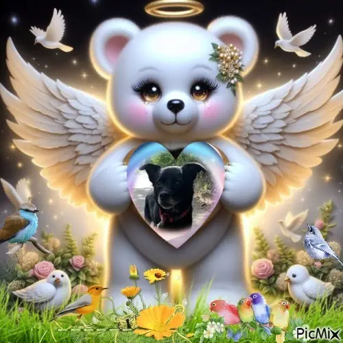 Condolence image of Niedzielne❤️Róże❤️❤️❤️❤️❤️❤️❤️