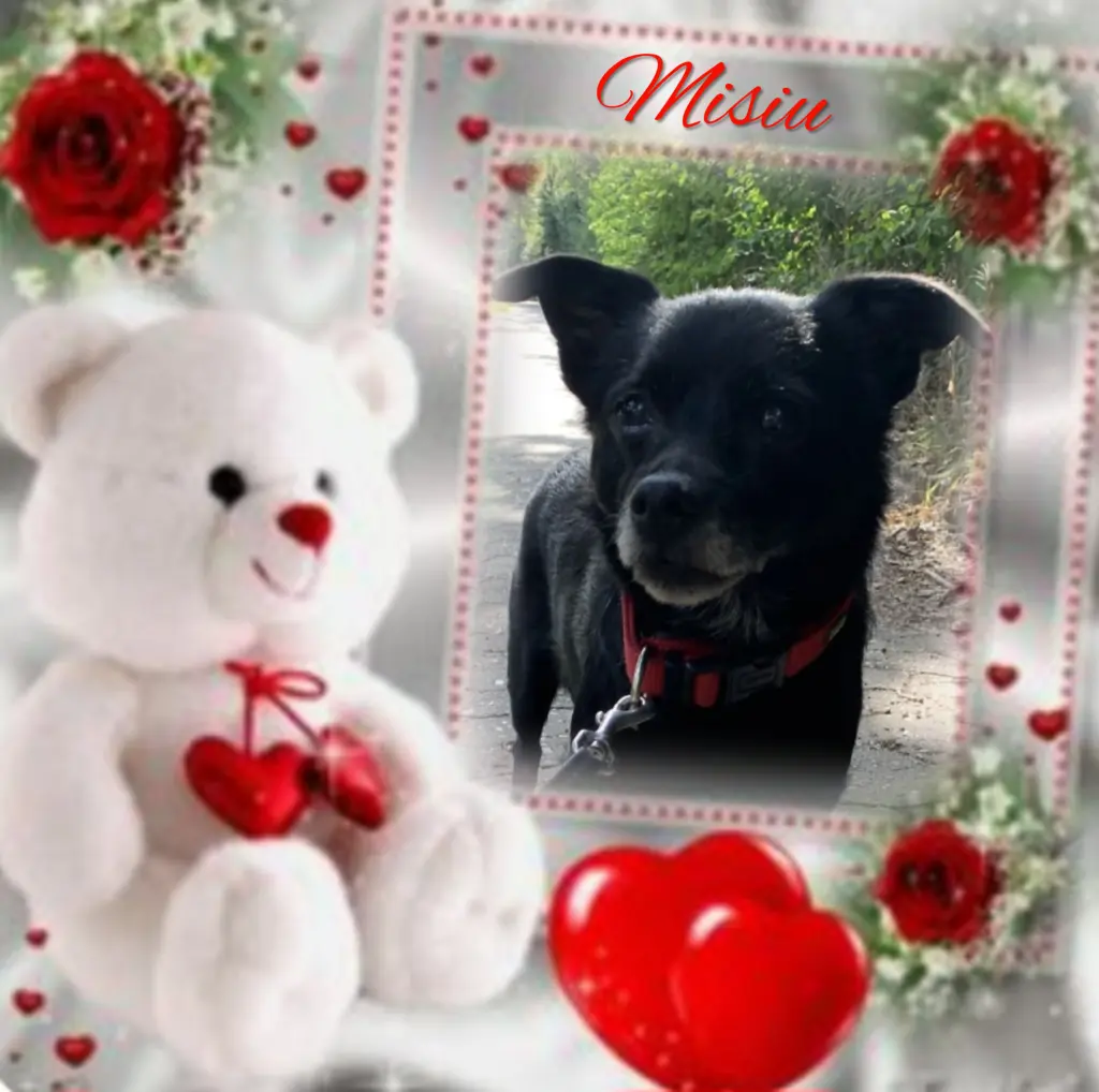 Condolence image of ♥️Geliebt und unvergessen♥️