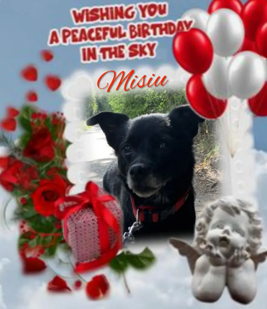 Condolence image of ♥️Happy Birthday lieber Misiu♥️