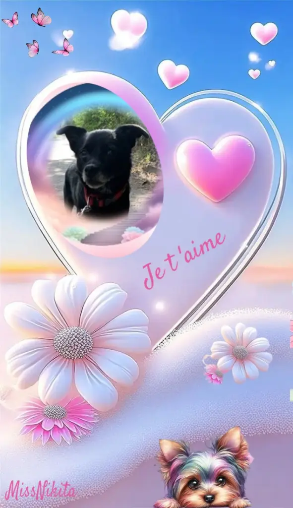 Condolence image of Niedzielne❤️Róże❤️❤️❤️❤️❤️❤️❤️