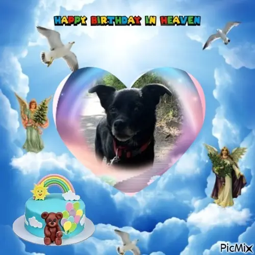 Condolence image of 18.Geburtstag❤️❤️❤️❤️❤️❤️❤️❤️❤️❤️❤️❤️❤️❤️❤️❤️❤️❤️