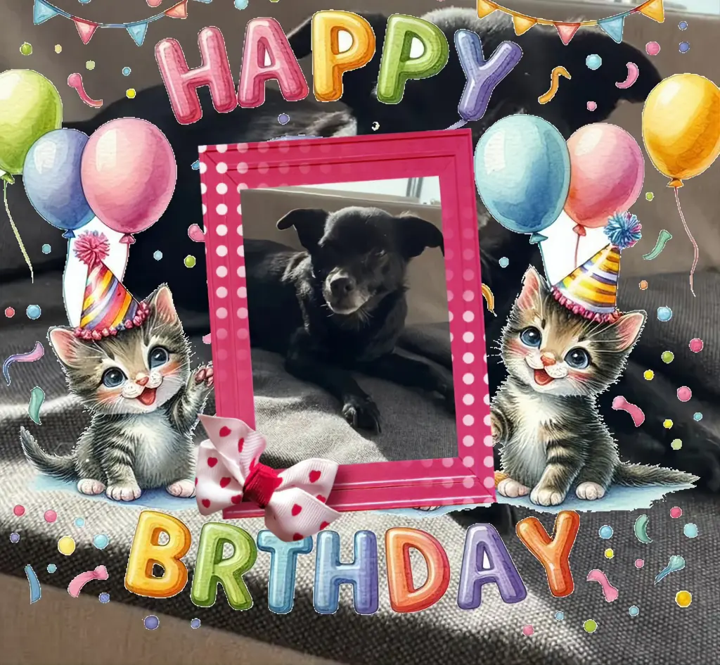 Condolence image of 20.Urodzinki🎂🎁🎂Kochanego❤️❤️❤️Misieńku❤️🐕⭐️