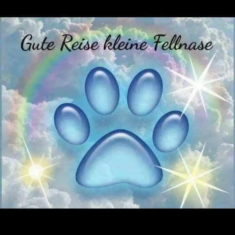Condolence image of Thomas Kunz