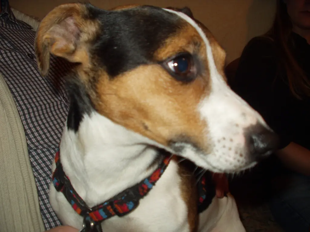 Condolence image of Tina
