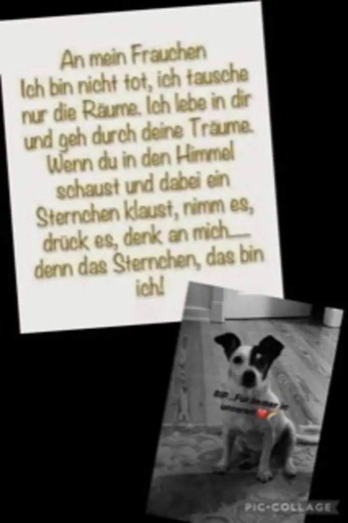 Condolence image of Susanne