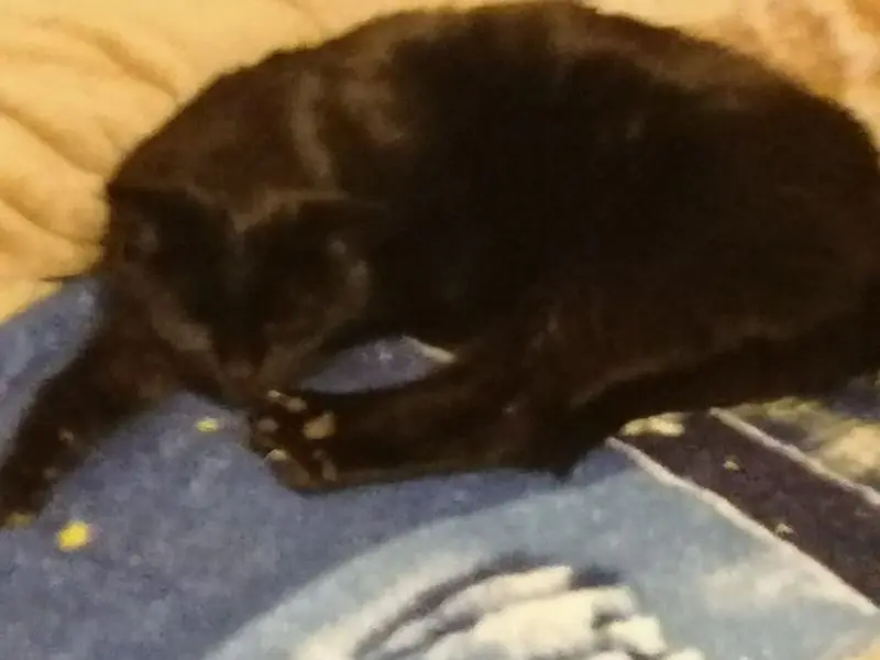 Condolence image of Andrea