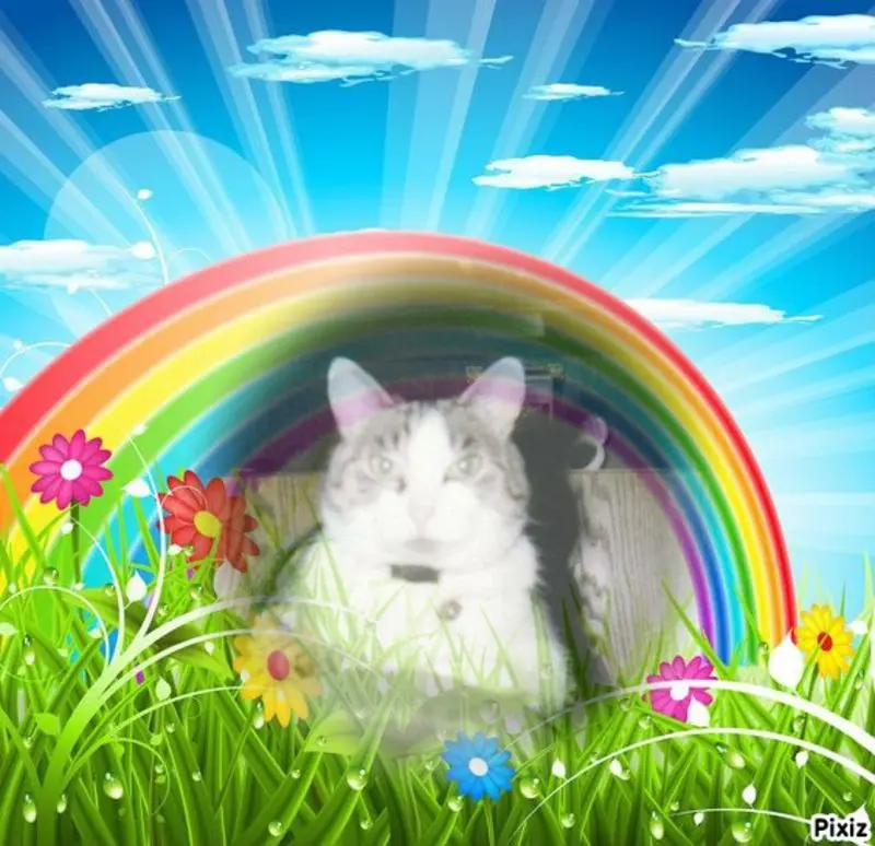 Condolence image of Jutta mit Purzel tief im Herzen✟08.05.2016