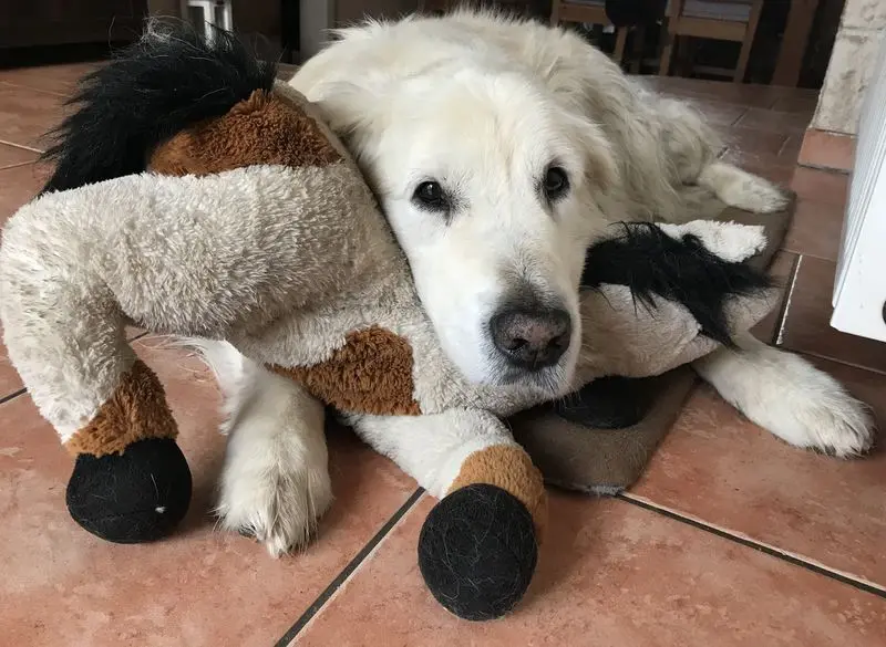 Condolence image of Madeleine