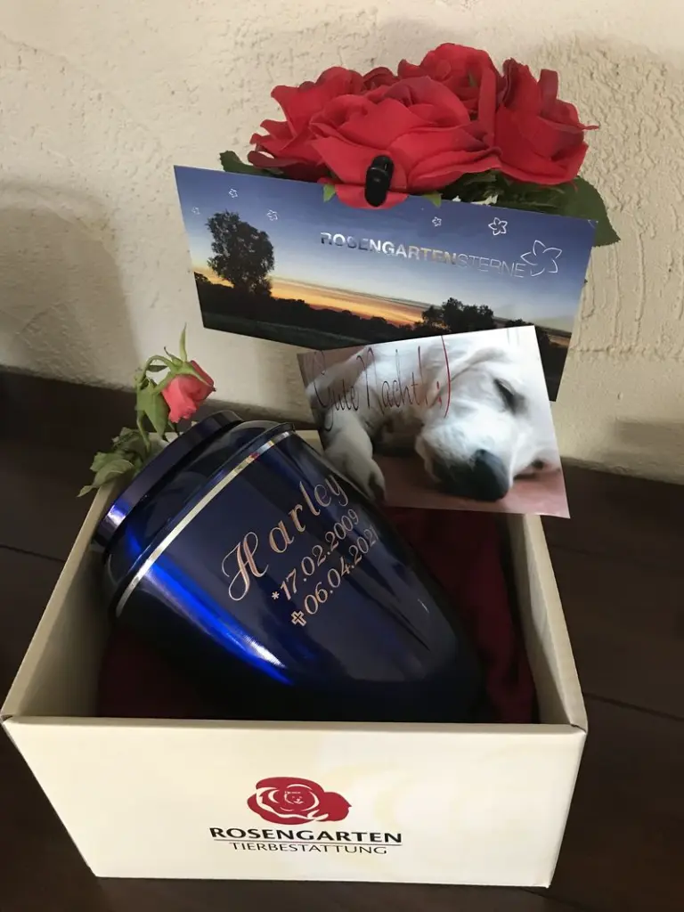 Condolence image of Madeleine