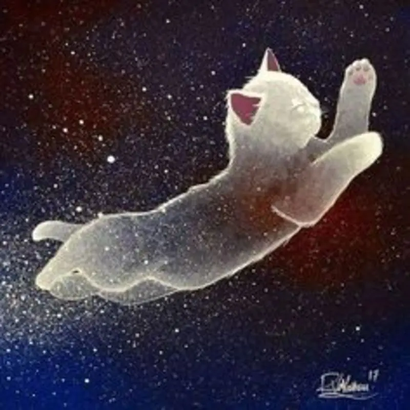 Condolence image of Katrin und Katzi im ❤️
