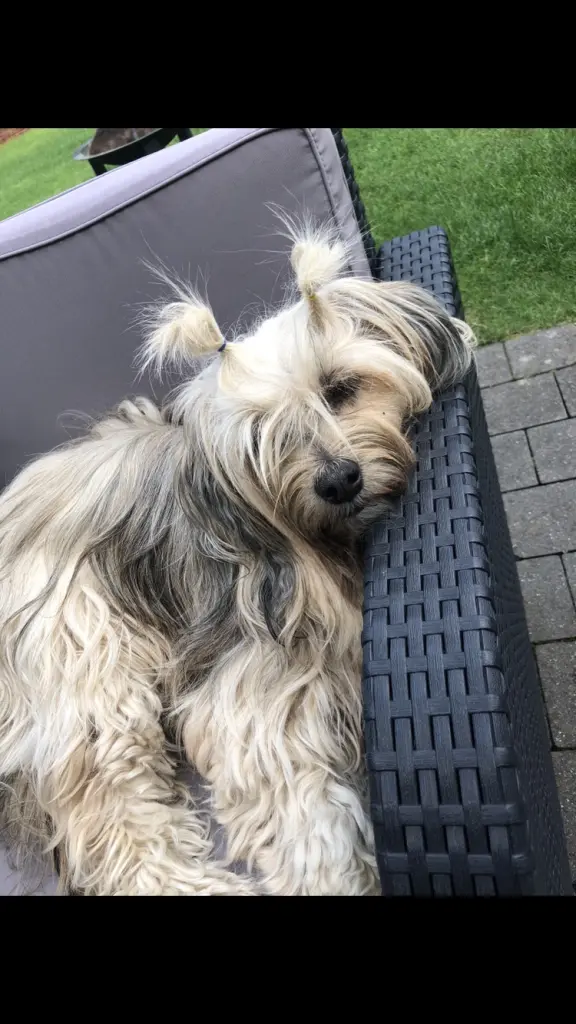 Image from Frieda