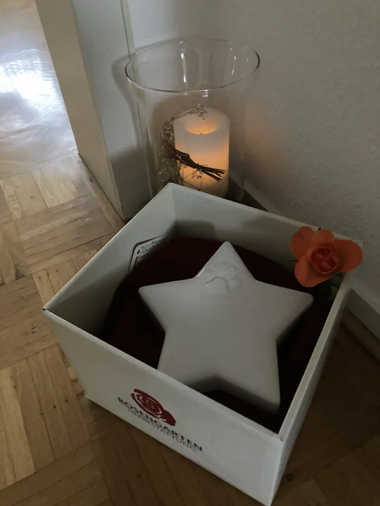 Image from Louis