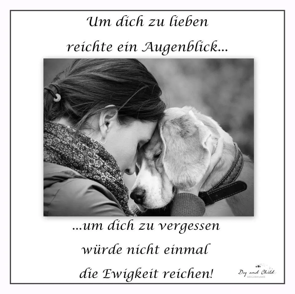 Image from Max