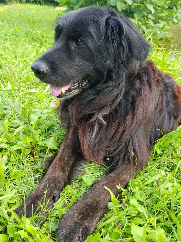 Condolence image of Simone