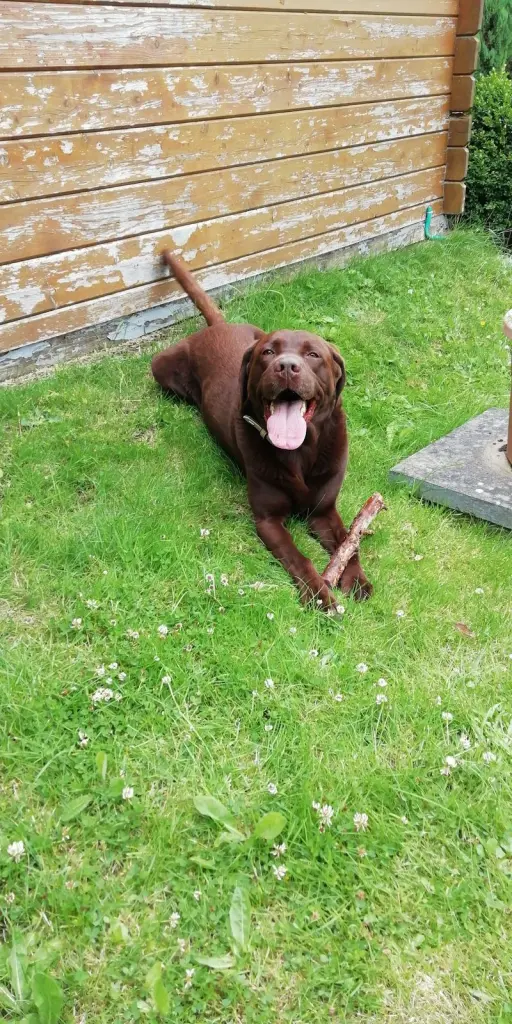 Andachtsbild von Linda & Timo