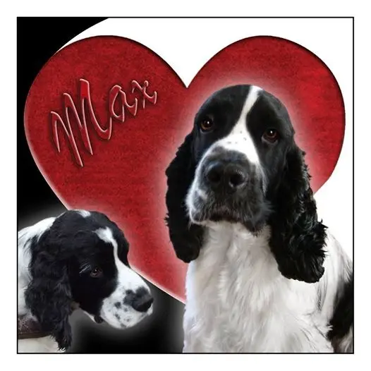 Image from Max