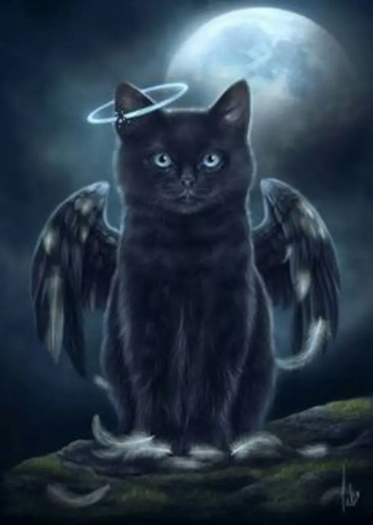 Andachtsbild von Katrin und Katzi im ❤️