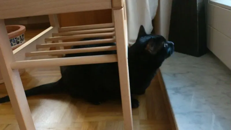 Andachtsbild von Hiromi mit Cana im Herzen