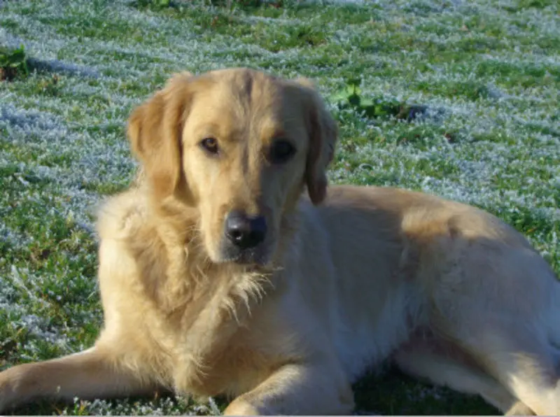 Condolence image of Andreas