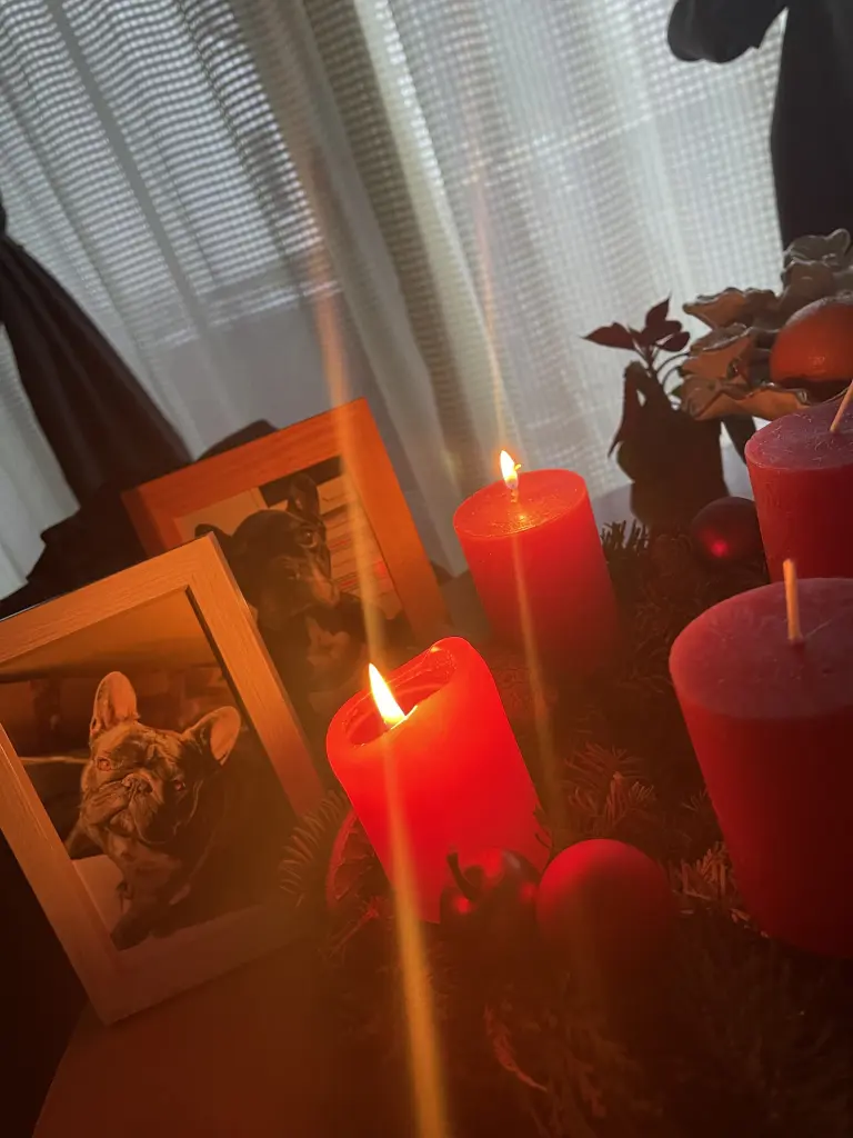 Condolence image of Unbekannt