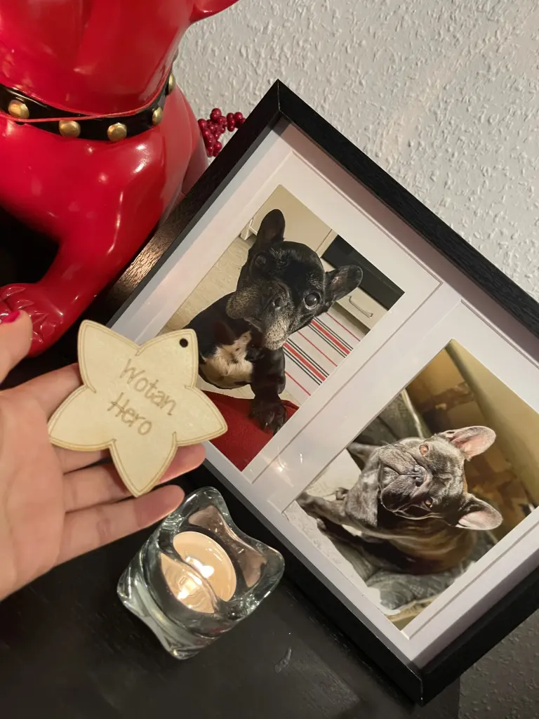 Condolence image of Unbekannt