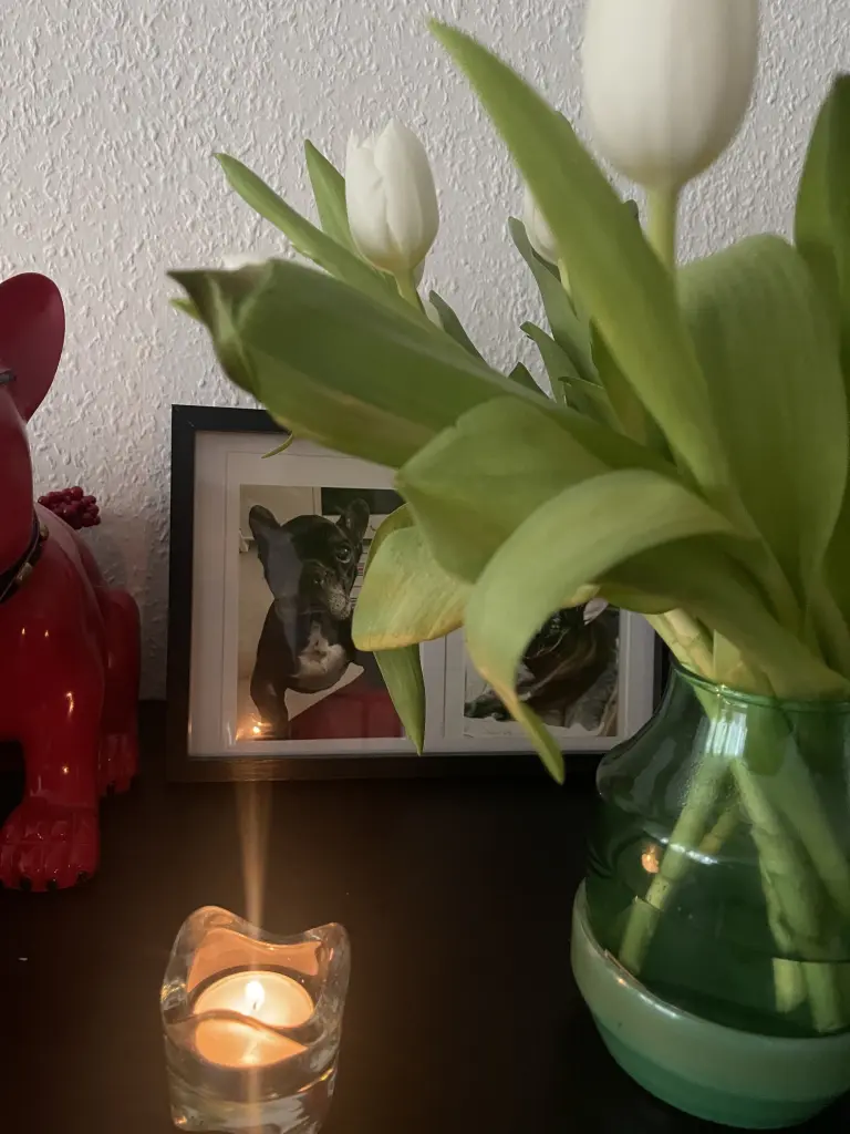 Condolence image of Unbekannt