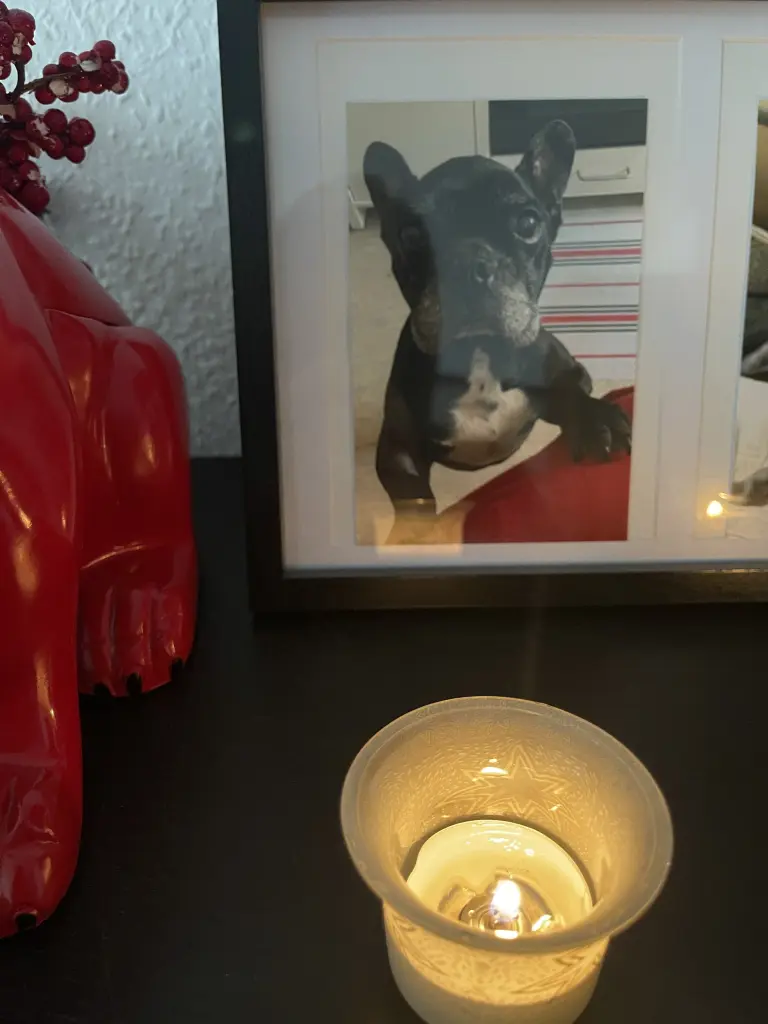 Condolence image of Unbekannt