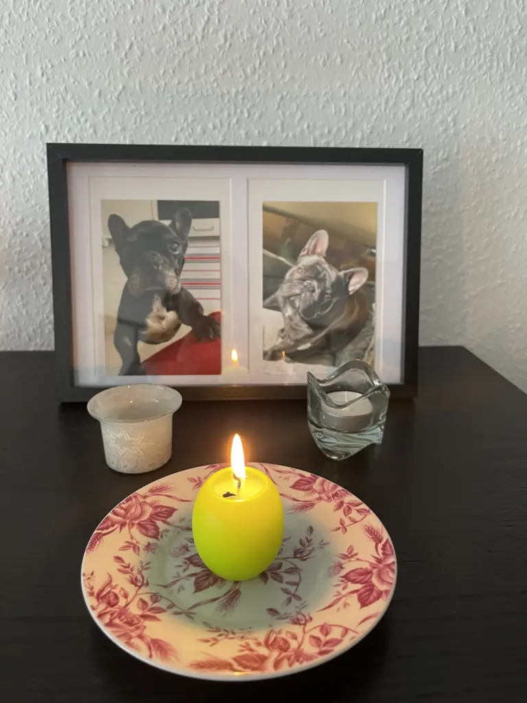 Condolence image of Unbekannt